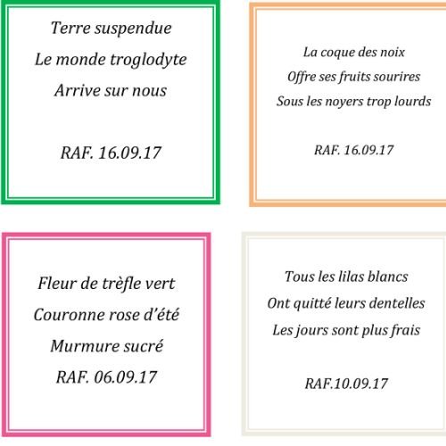 HAIKU Novembre 2017 - 3