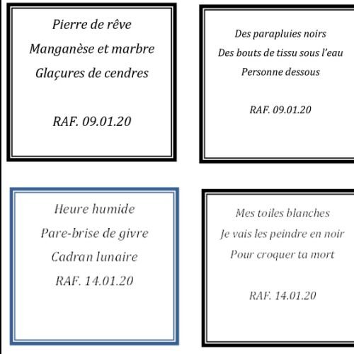 HAIKU Fevrier 2020 - 2