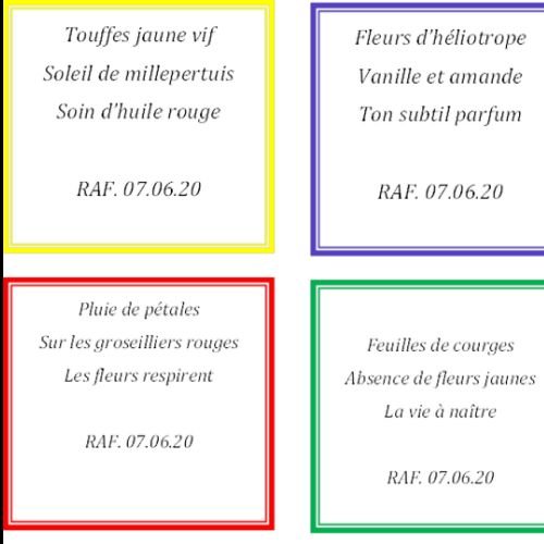 HAIKU Juillet 2020 - 3