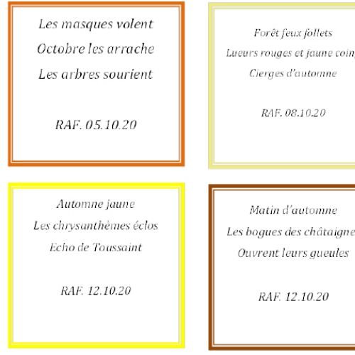 HAIKU Novembre 2020 - 2