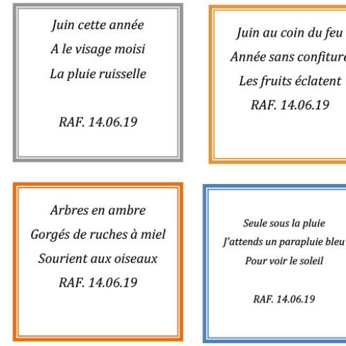 HAIKU Aout 2019 - 2