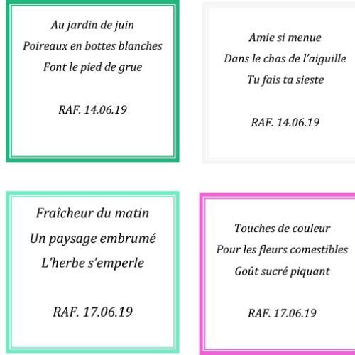 HAIKU Aout 2019 - 3