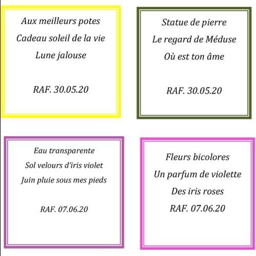 HAIKU Juillet 2020 - 2